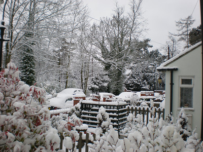 Snowing!