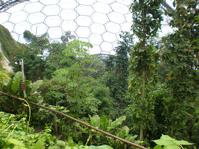 Inside Eden