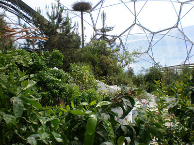 Inside Eden