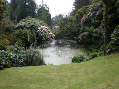 The Lost Gardens of Heligan