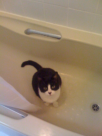 Henry in the bath