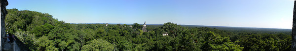 Tikal from Templo 4
