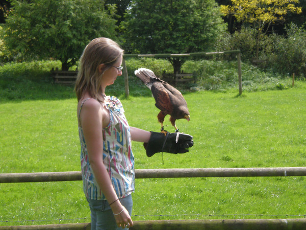 Pheebs feeding a kite
