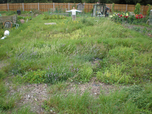 Our Allotment