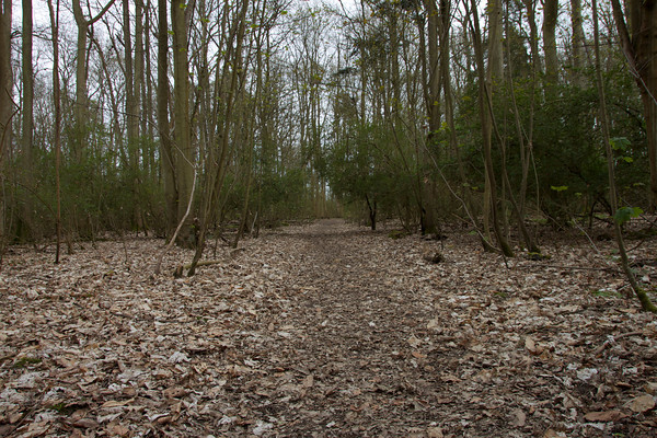 Walking around Sherfield-on-Lodden