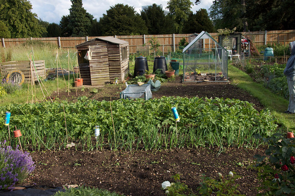 The Allotment