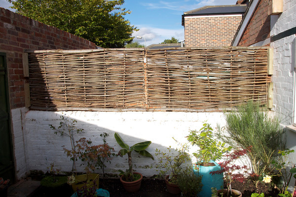 New back fence