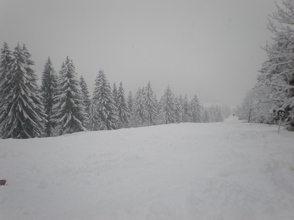 Powder